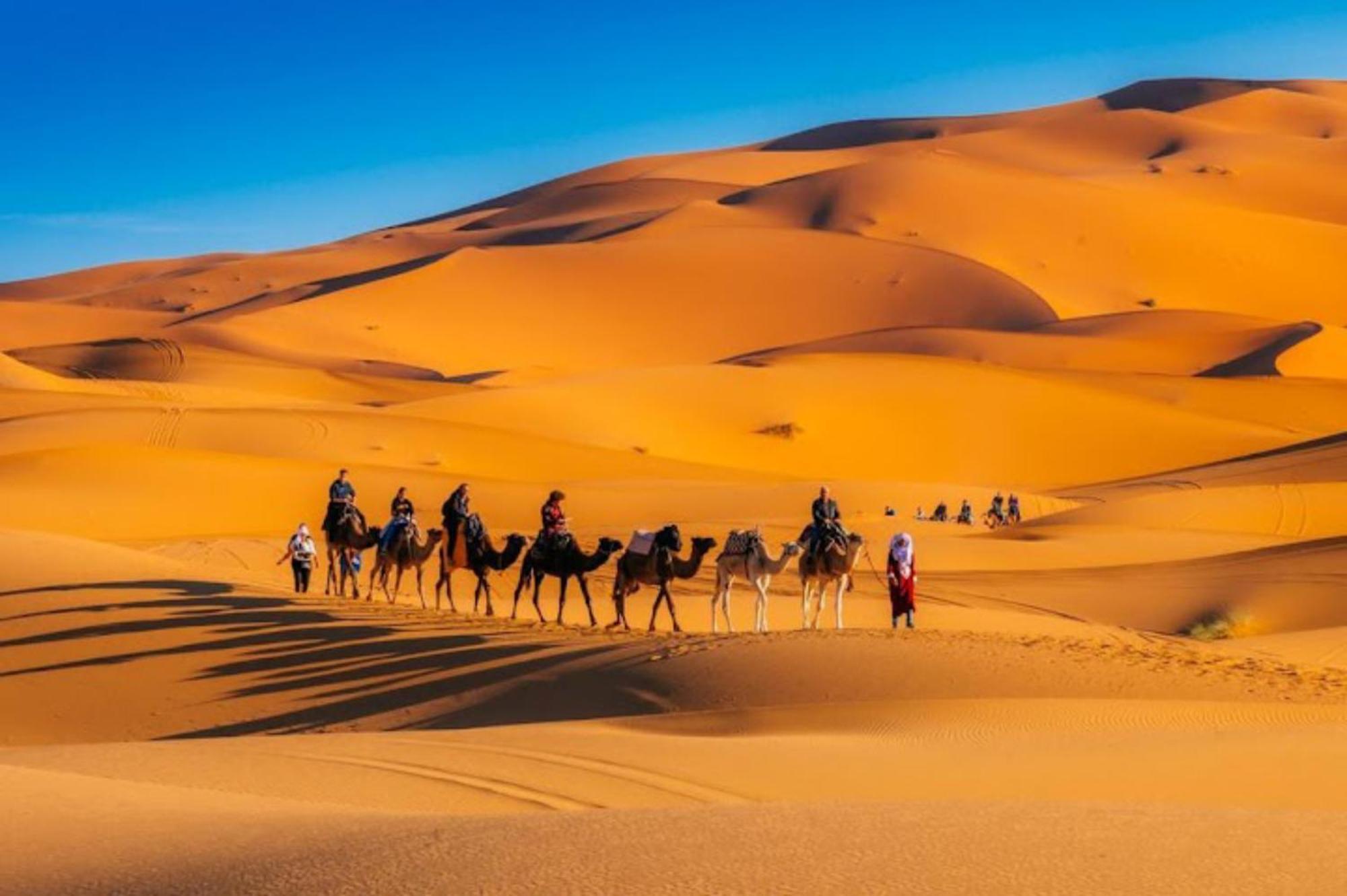 Merzouga Desert Campsite &Activities 外观 照片