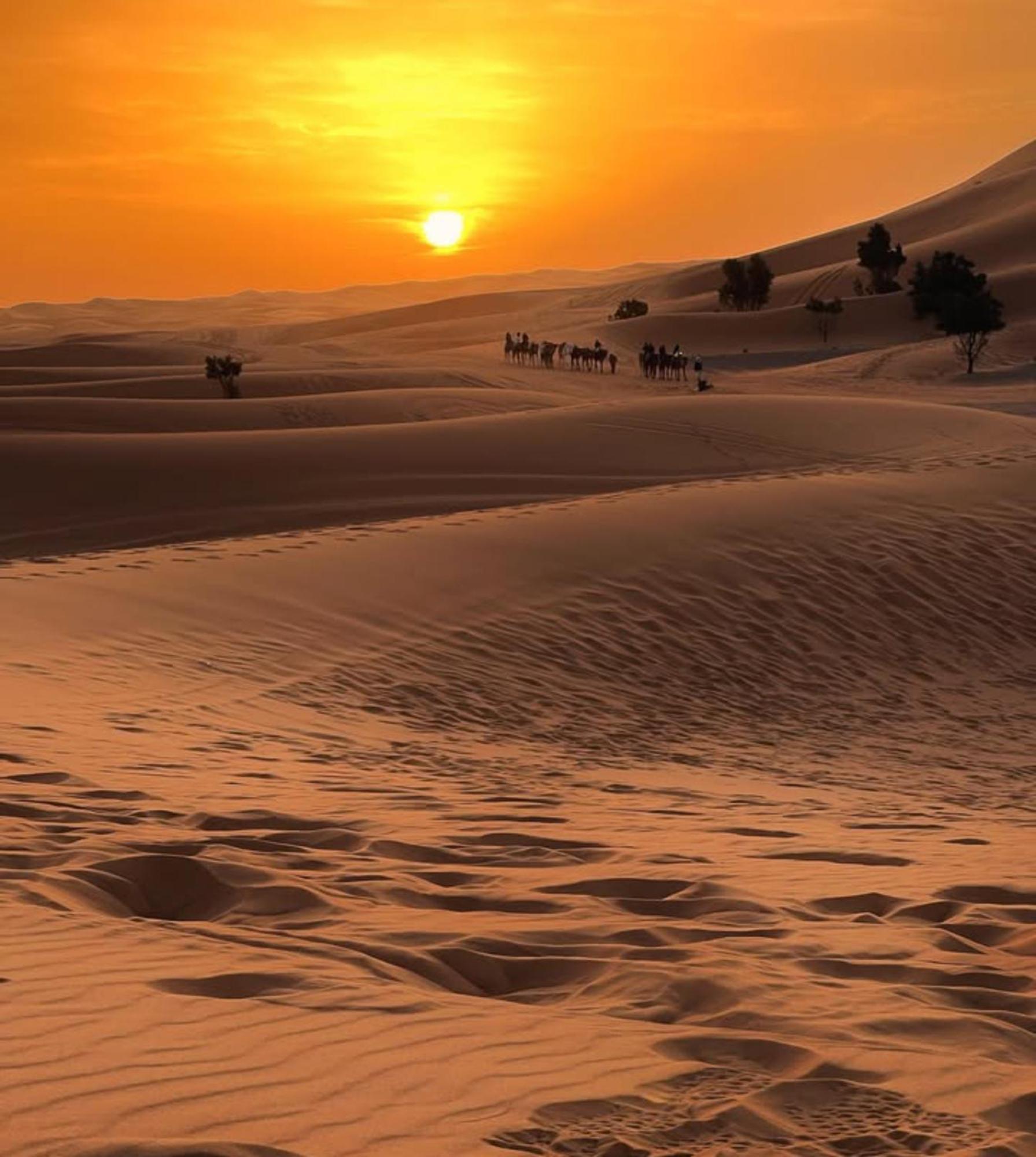 Merzouga Desert Campsite &Activities 外观 照片